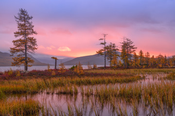 Fototapeta premium Pink autumn dawn on the lake, Jack London lake, Kolyma, Magadan region, Russia