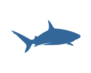 Fototapeta premium Shark logo vector design template, Silhouette Shark logo, Illustration