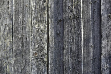 Wood texture background coming from natural tree. Wooden panel with beautiful patterns.