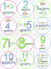 Fototapeta na wymiar Set of Stickers for 12 months. Monthly Stickers.Baby Of The Month Stickers Baby Of The Month Milestone Baby Of The Month Stickers