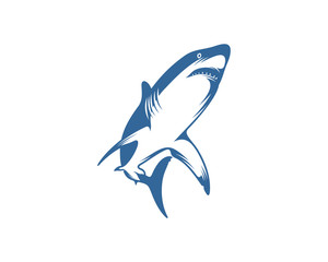 Shark logo vector design template, Silhouette Shark logo, Illustration