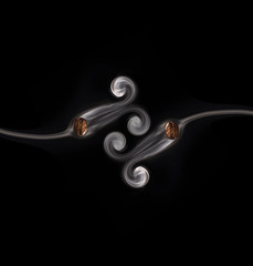 Roasted coffee beans. Seeds of freshly roasted coffee with smoke. Coffee beans closeup with emphasis on the grain with smoke.