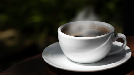Morning cup of coffee and nature on green background .