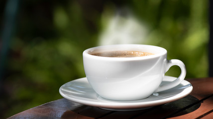 Morning cup of coffee and nature on green background .
