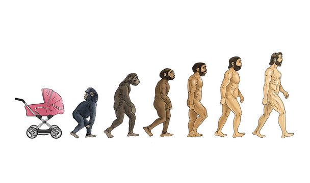 cartoon theory of evolution  white background