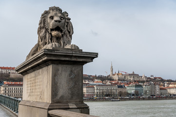 stone Lion statue on the Chain Bridge in Budapest with Fisherman Bastion in the Background