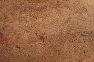 leather texture