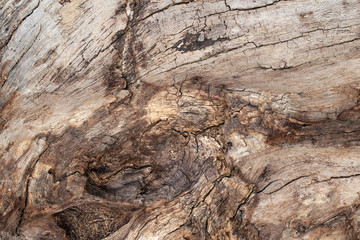 Wood texture