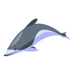 White grey dolphin icon. Isometric of white grey dolphin vector icon for web design isolated on white background