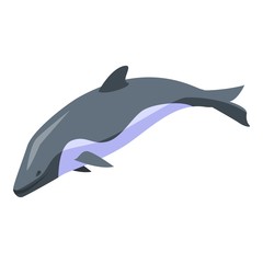 Obraz premium Dolphin swim icon. Isometric of dolphin swim vector icon for web design isolated on white background