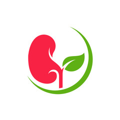 Kidney with Leaf Logo Design Inspiration Template vector