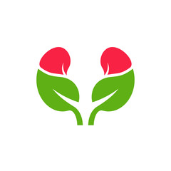 Kidney with Leaf Logo Design Inspiration Template vector