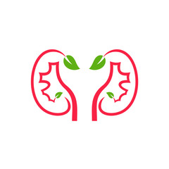 Kidney with Leaf Logo Design Inspiration Template vector