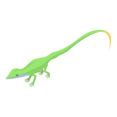 Small lizard icon. Isometric of small lizard vector icon for web design isolated on white background