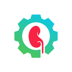 Kidney with Gear Logo Design Inspiration Template vector