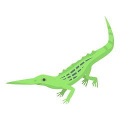 Long nose lizard icon. Isometric of long nose lizard vector icon for web design isolated on white background