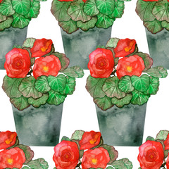 Watercolor hand painted nature floral seamless pattern composition with red blossom flowers and green leaves in grey pot on the white background, home plant print for design elements
