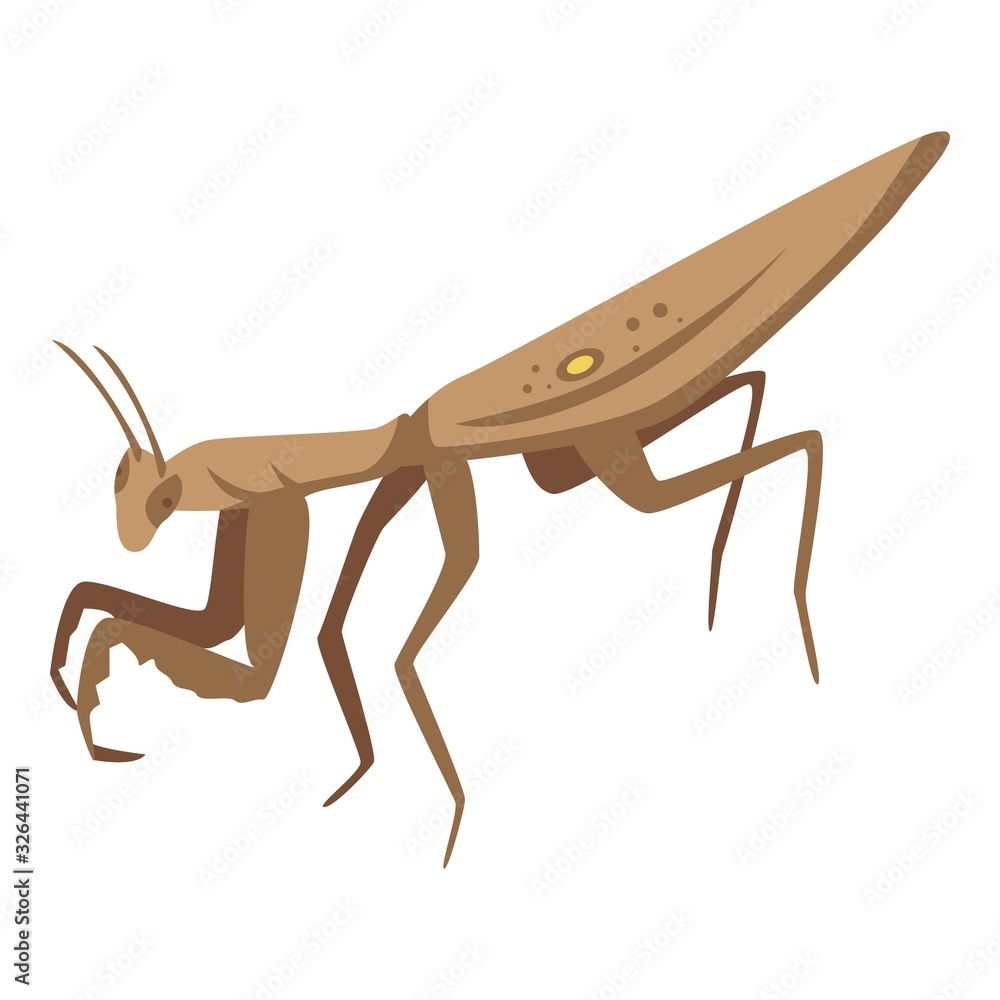 Poster brown mantis icon. isometric of brown mantis vector icon for web design isolated on white background