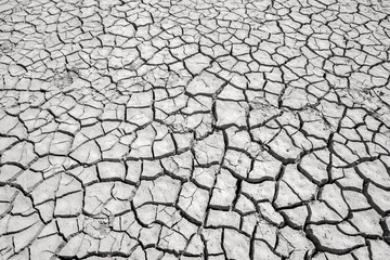 Cracked and broken ground earth on summer season