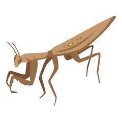 Brown mantis icon. Isometric of brown mantis vector icon for web design isolated on white background