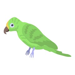 Fototapeta premium Green parrot icon. Isometric of green parrot vector icon for web design isolated on white background