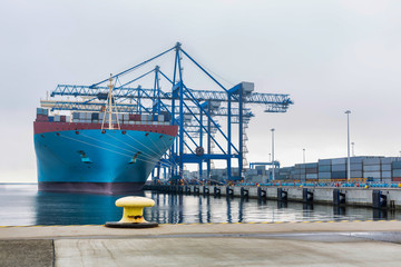 Cargo Terminal