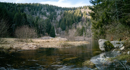 Les rives de l'étang du Devin en hiver, Le Bonhomme, Lapoutroie, Alsace, France