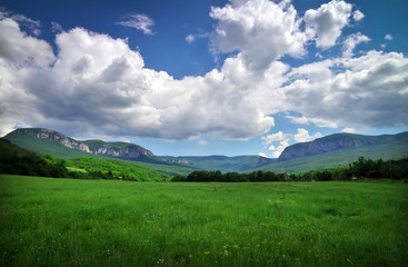 Fototapeta na wymiar Green meadow in mountain. Composition of nature.