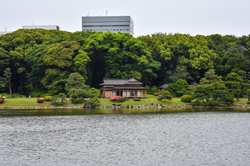 house on the river