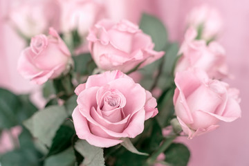 Bouquet of delicate romantic pink roses closeup