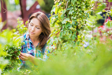 Portrait of smiling mature woman examining plants in the garden