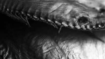 fish scales background so close © sabdiz