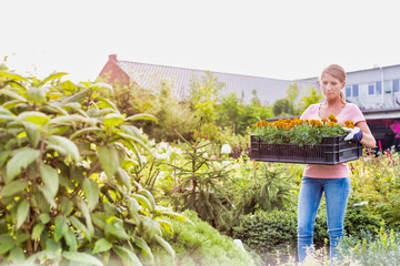 Portrait of mature female gardener carrying flowers in crate at shop