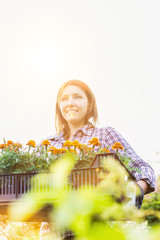 Portrait of mature gardener carrying flowers on crate with lens flare in background