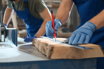Professional carpenters working with wood in shop, closeup