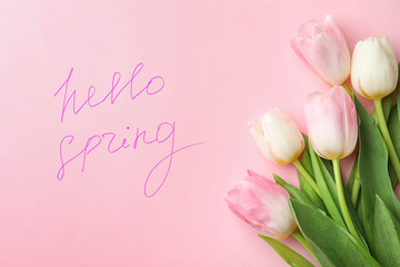 Words HELLO SPRING and fresh tulip flowers on pink background, flat lay