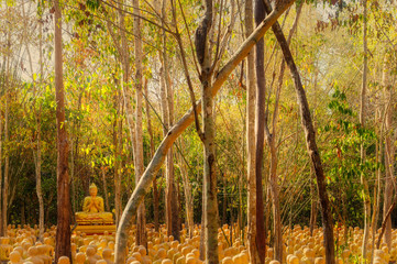 Plaeng Yao District, Chachoengsao / Thailand / February 16, 2020 : Wat Krok Kaeo Wong Phra Chan....