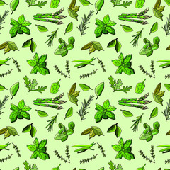 Seamless pattern of greens and herbs. Vector cartoon illustration. Stock illustration. Design for wallpaper, kitchen, fabric, textile, packaging, backgrounds.