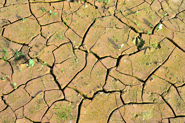 Dry lake or swamp in the process of drought and lack of rain or moisture, a global natural disaster. The cracked soil of the earth due to climate change. Hydrological drought, ccological catastrophy