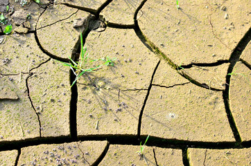 Dry lake or swamp in the process of drought and lack of rain or moisture, a global natural...