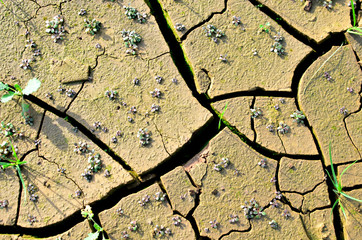 Dry lake or swamp in the process of drought and lack of rain or moisture, a global natural...