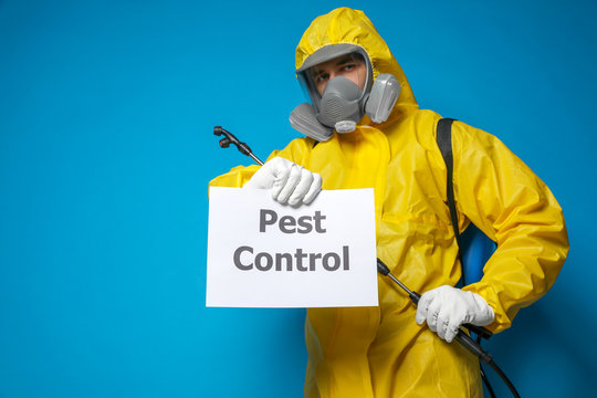 Pest Control Background Images – Browse 42,970 Stock Photos, Vectors ...
