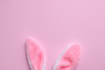 Easter bunny ears on pink background, top view. Space for text