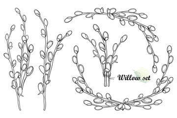 Set with outline Willow twigs and bunch in black isolated on white background. 