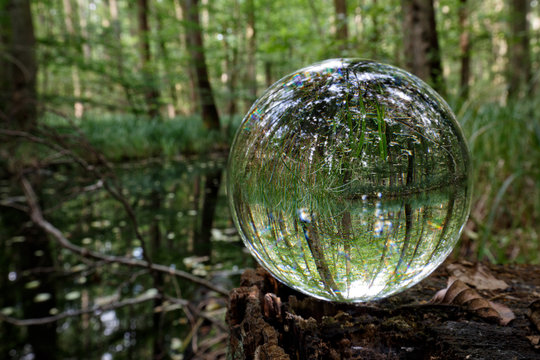a crystal glass ball stands on a forest lake and reflects the lake and the green forest
