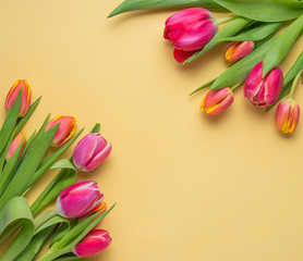 two bright fresh bouquets of pink and yellow tulips on a yellow background top and bottom