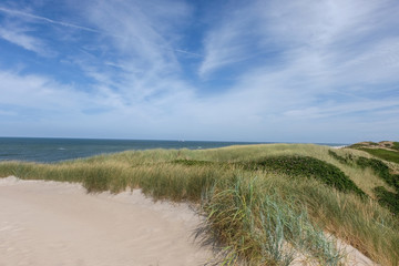Typische nordische Dünenlandschaft in der Nähe des Strandes mit Blick auf das Meer -  selektiver Fokus