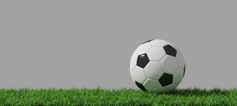 Soccer Ball on grass side view. 3D Render