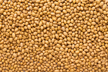 Vegetable protein concept. Soya Beans texture, Background