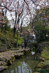 Tradycyjny chińskie ogród © Miroslaw